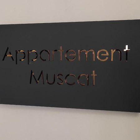Les Souvenirs D'Alsace Apartman Colmar Kültér fotó