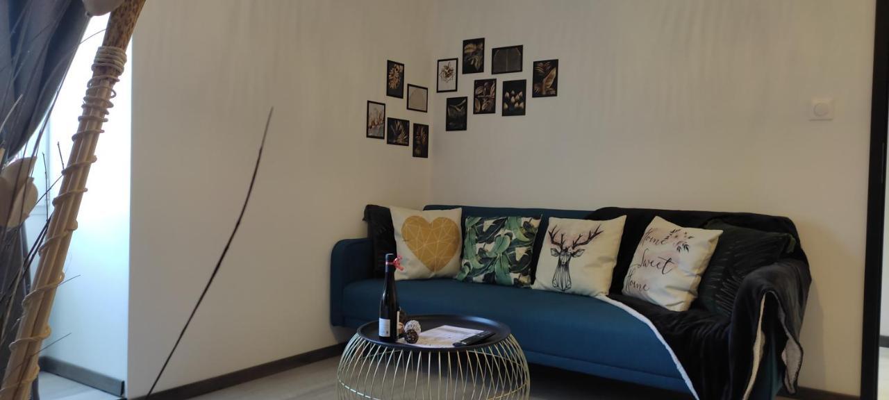 Les Souvenirs D'Alsace Apartman Colmar Kültér fotó