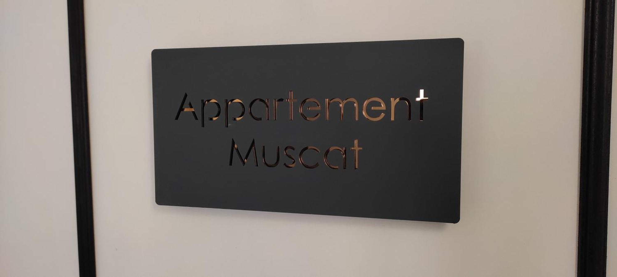 Les Souvenirs D'Alsace Apartman Colmar Kültér fotó